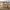 36 Eltringham Terrace, Edinburgh, EH14 1RZ