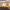 79/9 Milligan Drive, Edinburgh, EH16 4XD