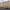 66 Newhaven Place, Edinburgh, EH6 4TG