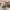 17 1F3, Bothwell Street, Edinburgh, EH7 5PX