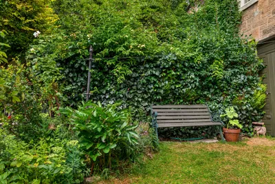17 Avondale Place,
Edinburgh,
EH3 5HX - image 20